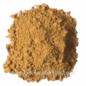 Alta Qualidade 100% Natural Organic Oyster Mushroom Extract Powder